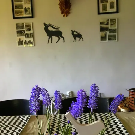 Dom Gorski - Caly Na Wylacznosc Holiday home Szklarska Poreba